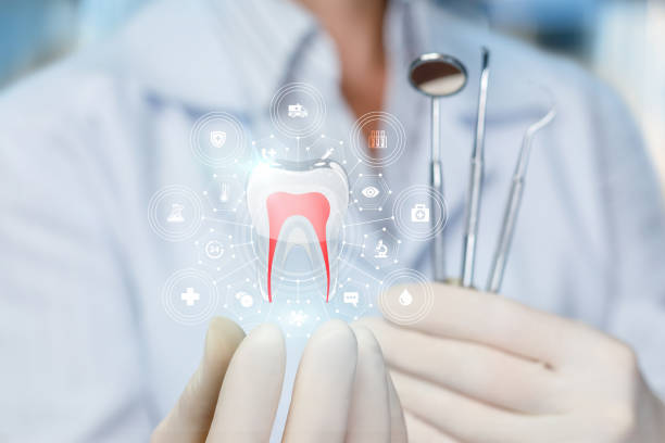 Trusted Crowley, TX  Holistic Dental Services Experts